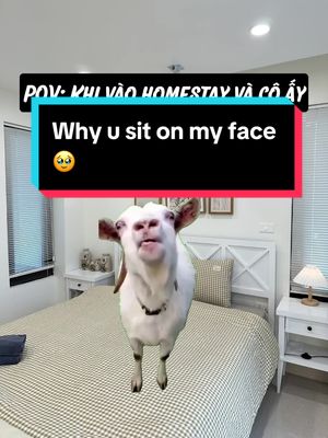 Descarcă video TikTok de la @gaumeo.review.homestay