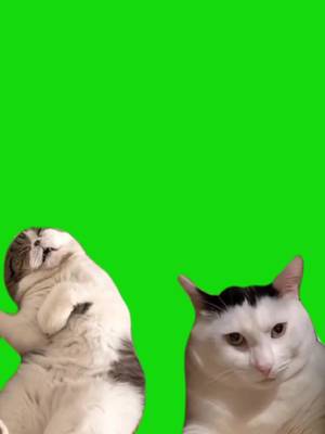 TikTok-Video von @viralgreenscreenhub herunterladen