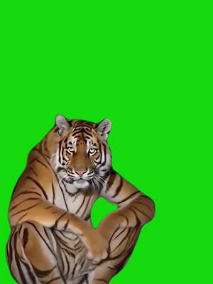 TikTok-Video von @viralgreenscreenhub herunterladen
