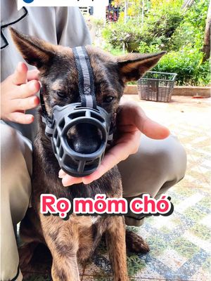 Descarcă video TikTok de la @bephong83
