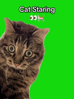 TikTok-Video von @viralgreenscreenhub herunterladen