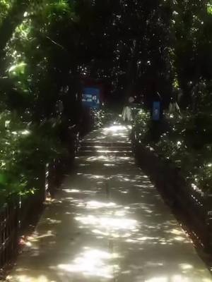 Descarcă video TikTok de la @dmmmh.lx2x21