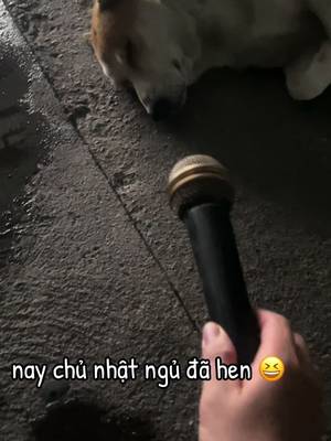 Descarcă video TikTok de la @nht.minh739