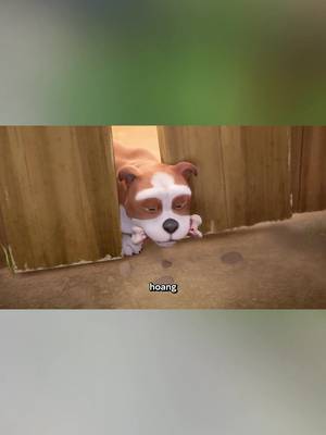 下載 @vy.review52 的 TikTok 影片
