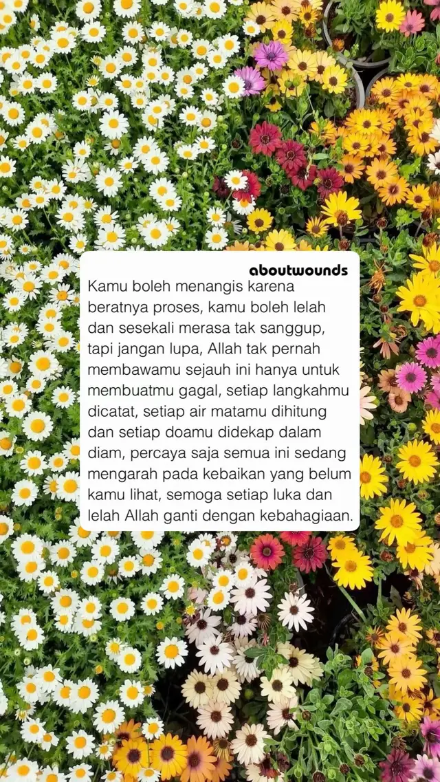 Unduh video TikTok dari @waktunyabertutur