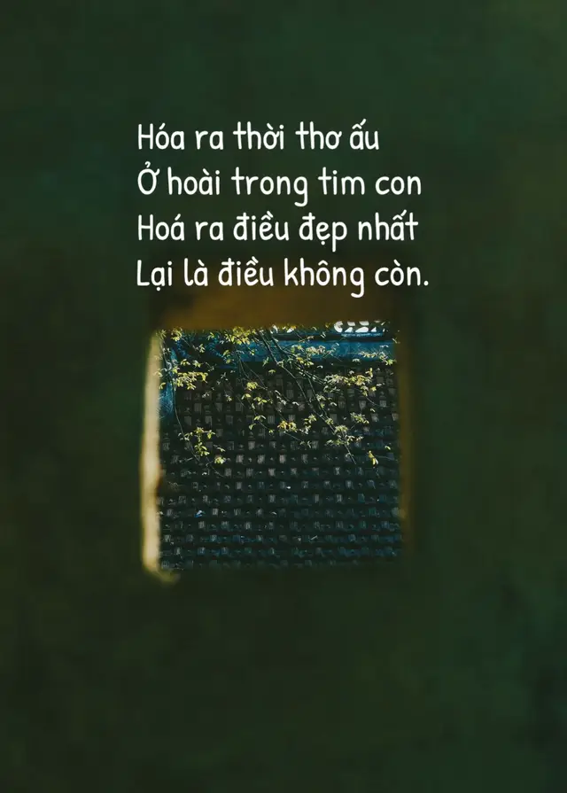 Descargar video TikTok de @caothuy.92