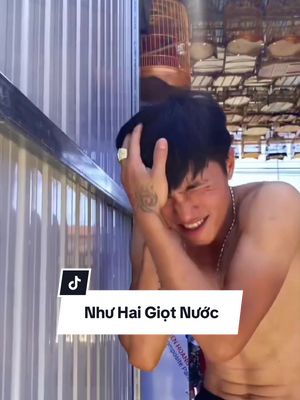 Descarcă video TikTok de la @hoanganh.chimcacanh