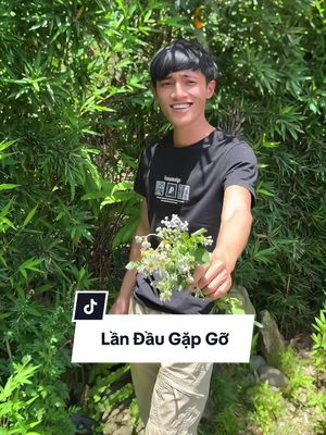 Descarcă video TikTok de la @hoanganh.chimcacanh