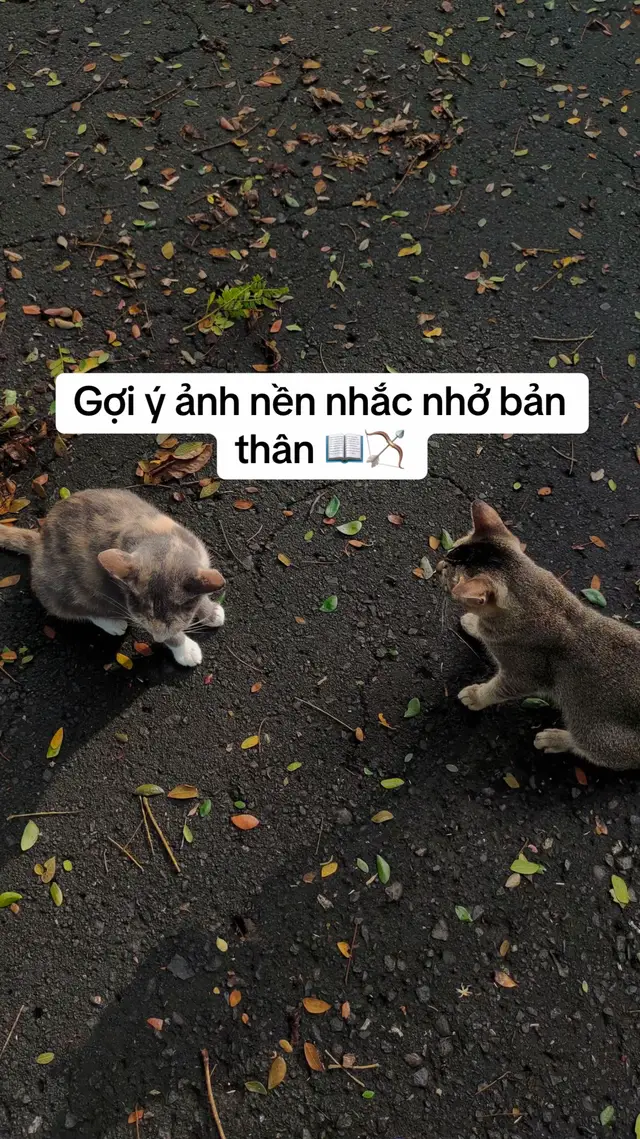 ดาวน์โหลดวิดีโอ TikTok โดย @michuacay63