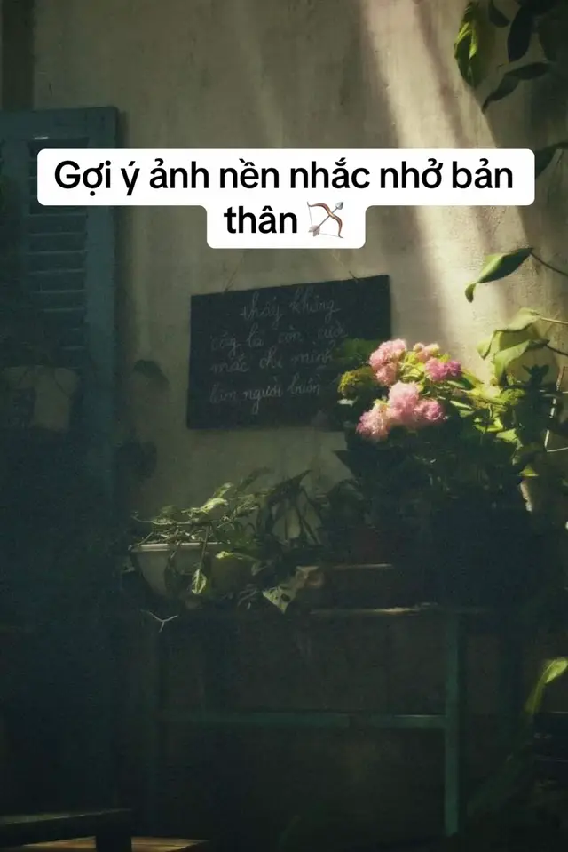 Pobierz wideo TikTok od @michuacay63