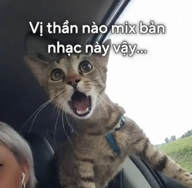 Descarcă video TikTok de la @dhtl.210