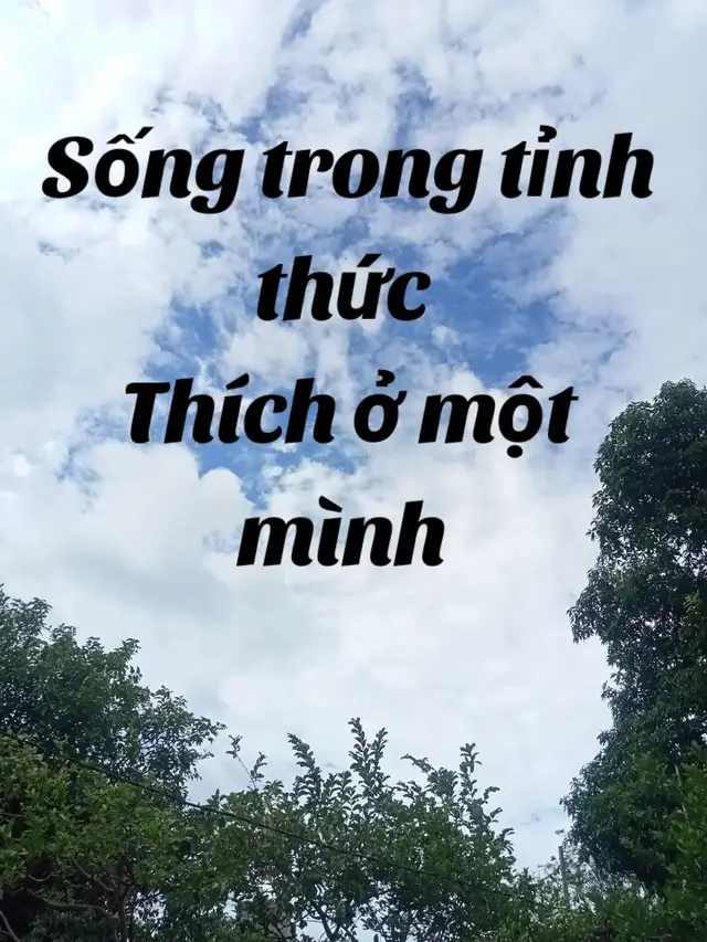 Scarica video TikTok di @senle9493