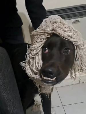 Descarcă video TikTok de la @noib3n