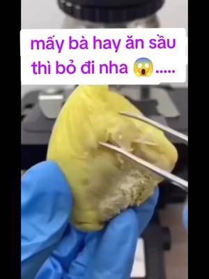 Descarcă video TikTok de la @phukienso5.01
