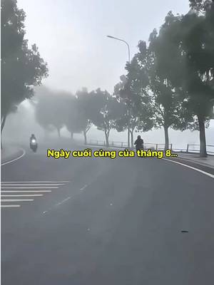 @songchamlai.binhyen tarafından TikTok videosunu indir