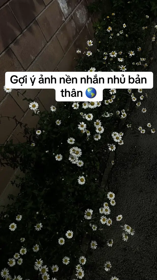 Télécharger la vidéo TikTok de @khongbtlun