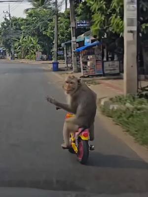 TikTok-Video von @chunchaythonnee herunterladen