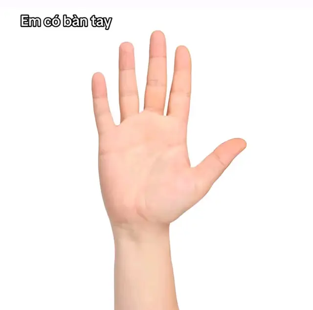 Descarcă video TikTok de la @duongbixinh