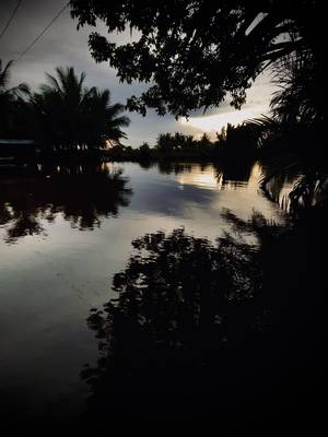 Descargar video TikTok de @bun.nhung.vui