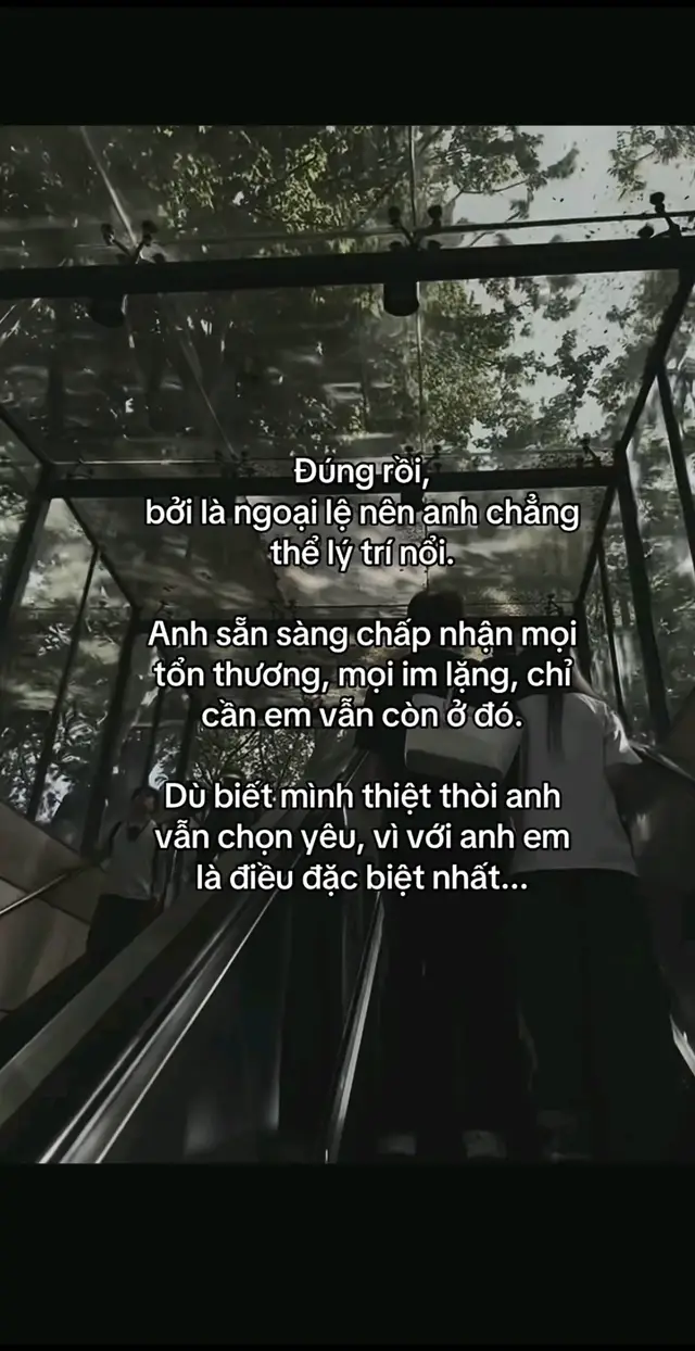 Descarcă video TikTok de la @phamthoai21