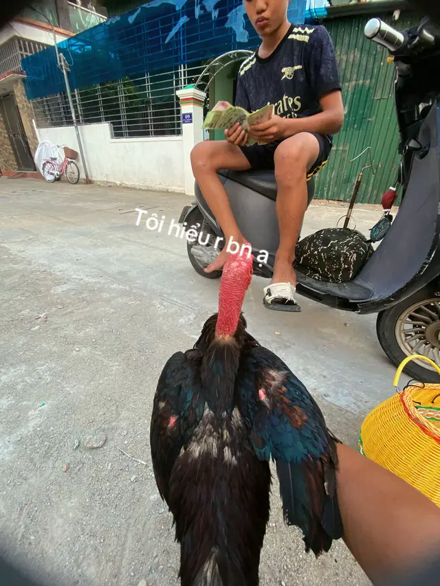 Baixar vídeo TikTok de @thang0924