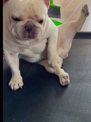 Descarcă video TikTok de la @xaola47