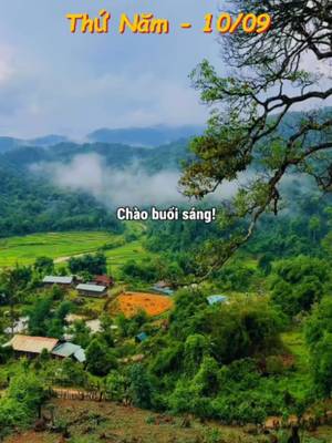 TikTok-Video von @songchamlai.binhyen herunterladen